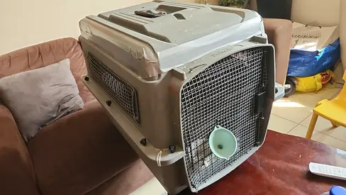 Dogs carriers with mesh  for air travel medium and intermediate