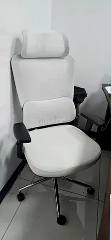 white/black mesh chair with lumber support