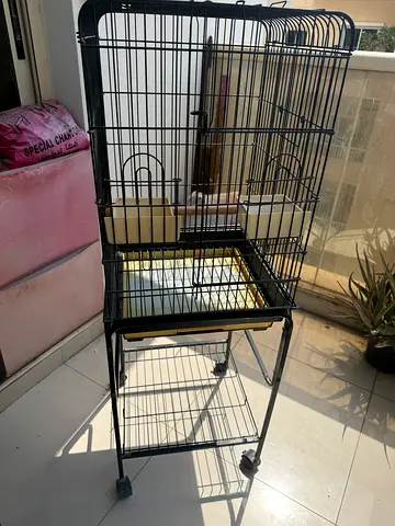 Bird Cage for sale