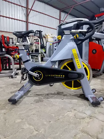 LiveStrong by Matrix Indoor Cycle Exercise Bike