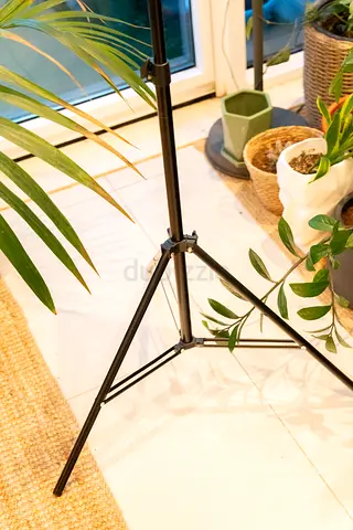 light stand