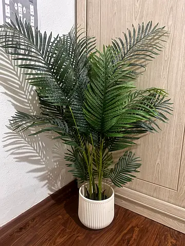 Tree with pot