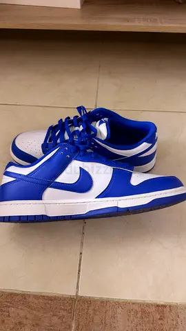 Nike dunk low retro