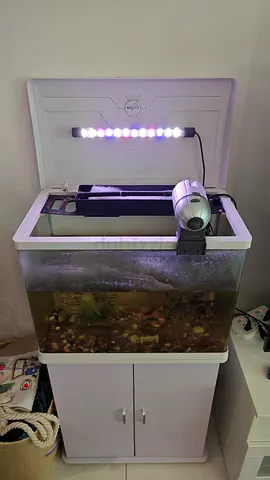 Used 60cm Aquarium with LED Light, Filter and Cabinet - Ready Setup