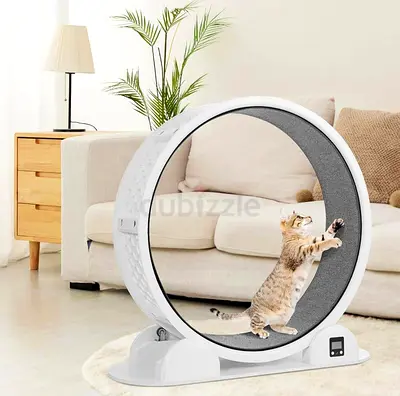 Cat exercise wheel