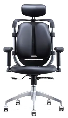 Ergonomic Office Chair with Headrest and Lumbar Support - Black