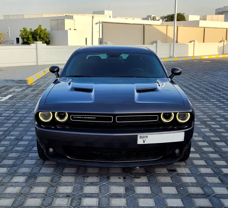 Dodge Challenger 2019 — photo 1 of 16