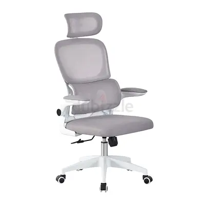 Ergonomic Mesh Office Chair with Headrest and Lumbar Support - Light Grey