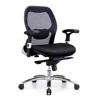 Ergonomic Mesh Office Chair with Adjustable Arms and Lumbar Support