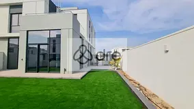 Massive Plot | Unreal Condition | Mid August