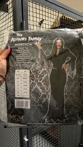Halloween costume