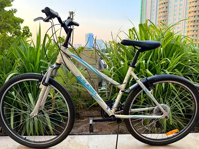 Raleigh Aluminium Hybrid/City Bike - Comfortable 26 Frame, perfect Condition