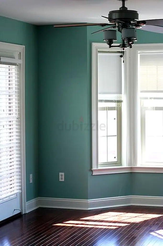DPV_View_Image_4