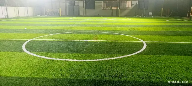 Artificial Grass