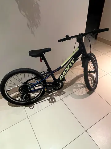 Giant Talon 20inch bike for sale