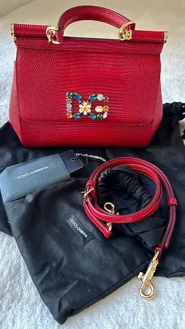 Dolce and Gabbana bag