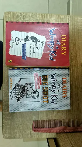 Set of 2 Diary of a Wimpy Kid paperback books - original UK editions