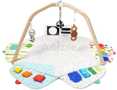 Wooden Arch Baby Play Gym with Activity Mat