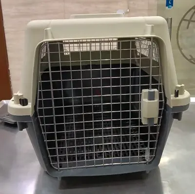 Sturdy Plastic Air Travel Pet Carrier with Metal Door - Medium/Large Size IATA Approved