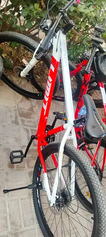 Limit Mountain Bike in Red and White