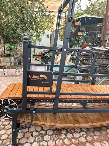 Fitdog treadmill