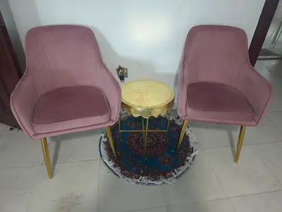 Pair of pink velvet accent chairs with gold legs
