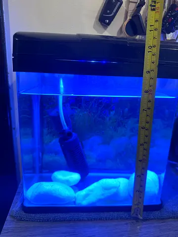 AQUARIUM