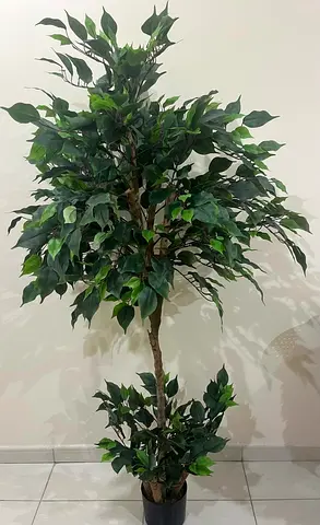 Tall Artificial Ficus Tree - Ready to Place Indoor Plant