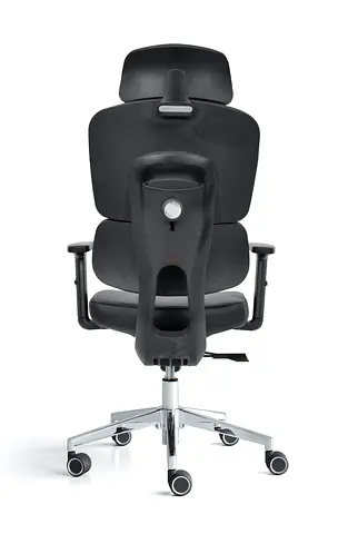 Ergonomic Black Office Chair with Headrest and Lumbar Support