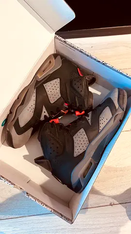 Jordan 6 psg