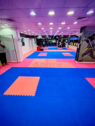 Interlocking Foam Mats - Full Dojo Flooring (Blue  Pink) - Used