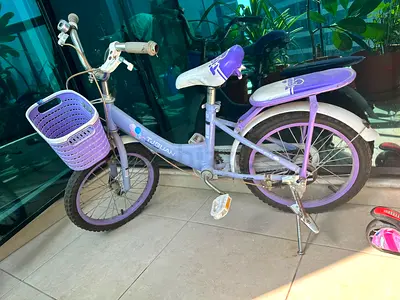 Childs Purple 14-inch Bicycle with Basket and Mudguards