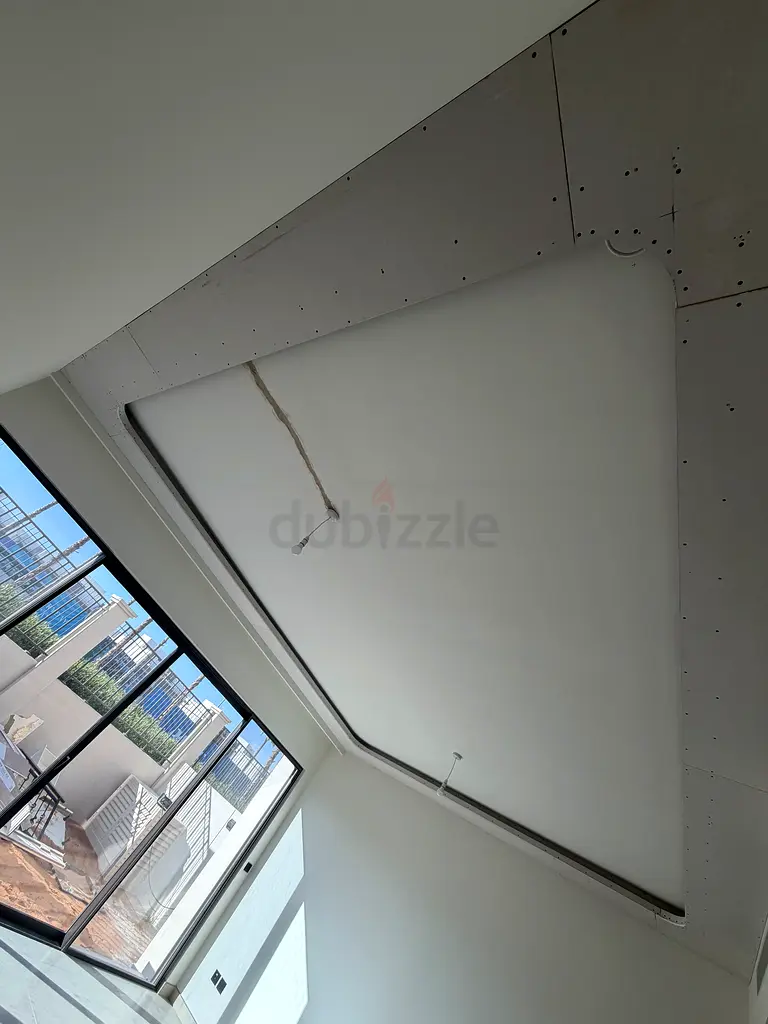 DPV_View_Image_0