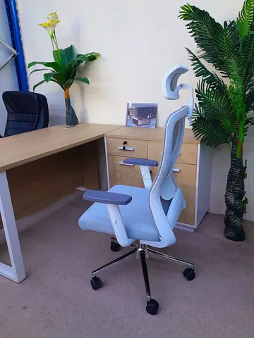 Ergonomic High-Back Office Chair with Headrest - Light Grey