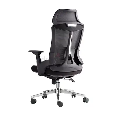 Ergonomic Mesh Office Chair with Headrest and Lumbar Support
