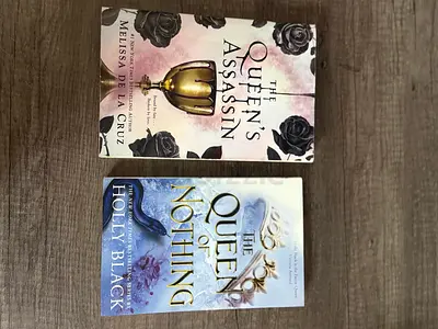 Set of 2 Paperback Fantasy Novels: The Queens Assassin  The Queen of Nothing