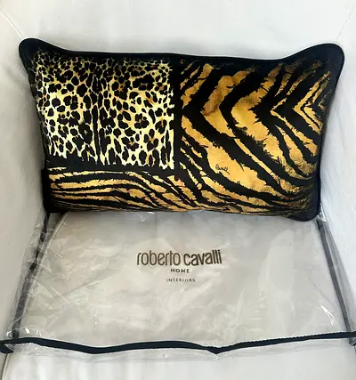 Cushion