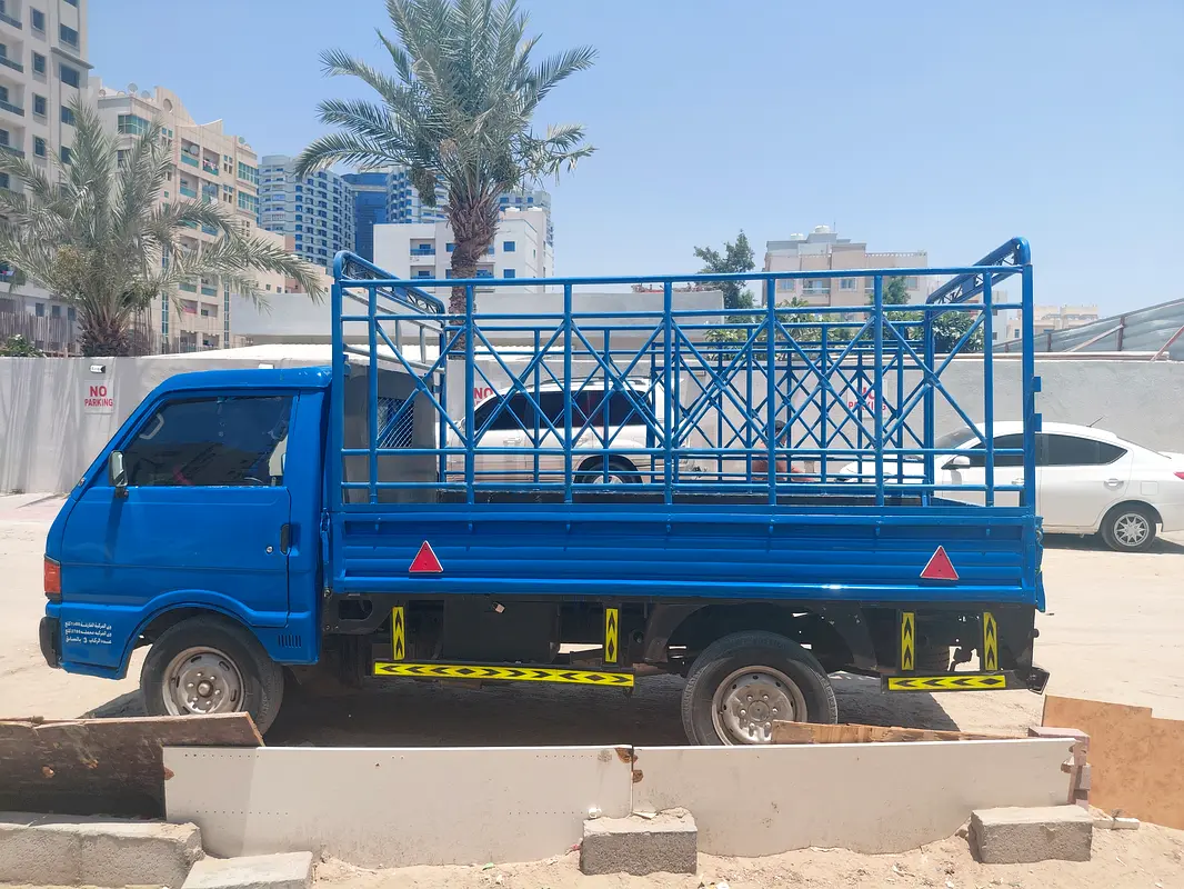 DPV_View_Image_2