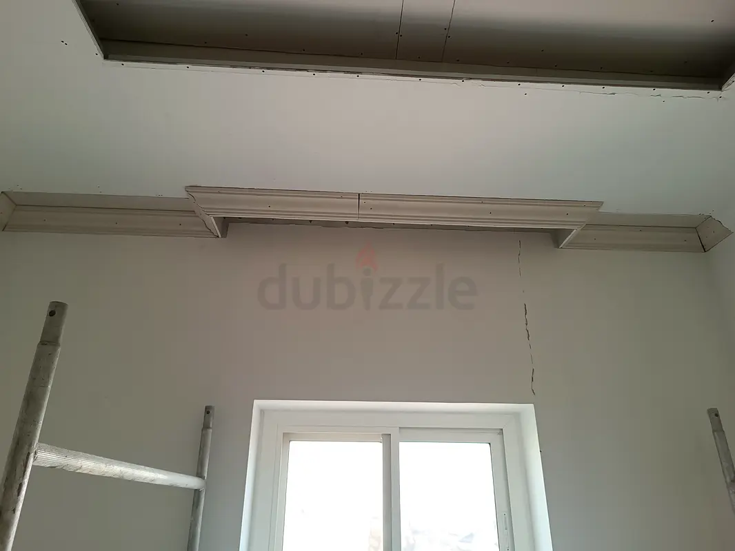 DPV_View_Image_2