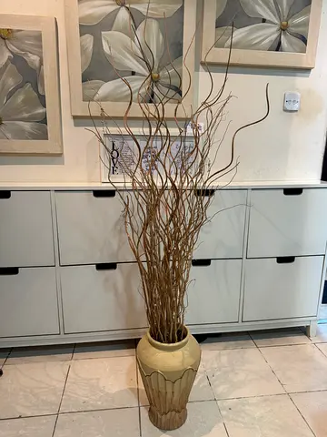 Natural Twigs/Branches