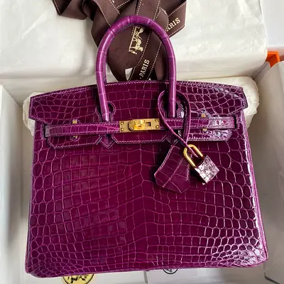 Hermes Birkin 25 in Raisin Crocodile Niloticus Shiny Skin