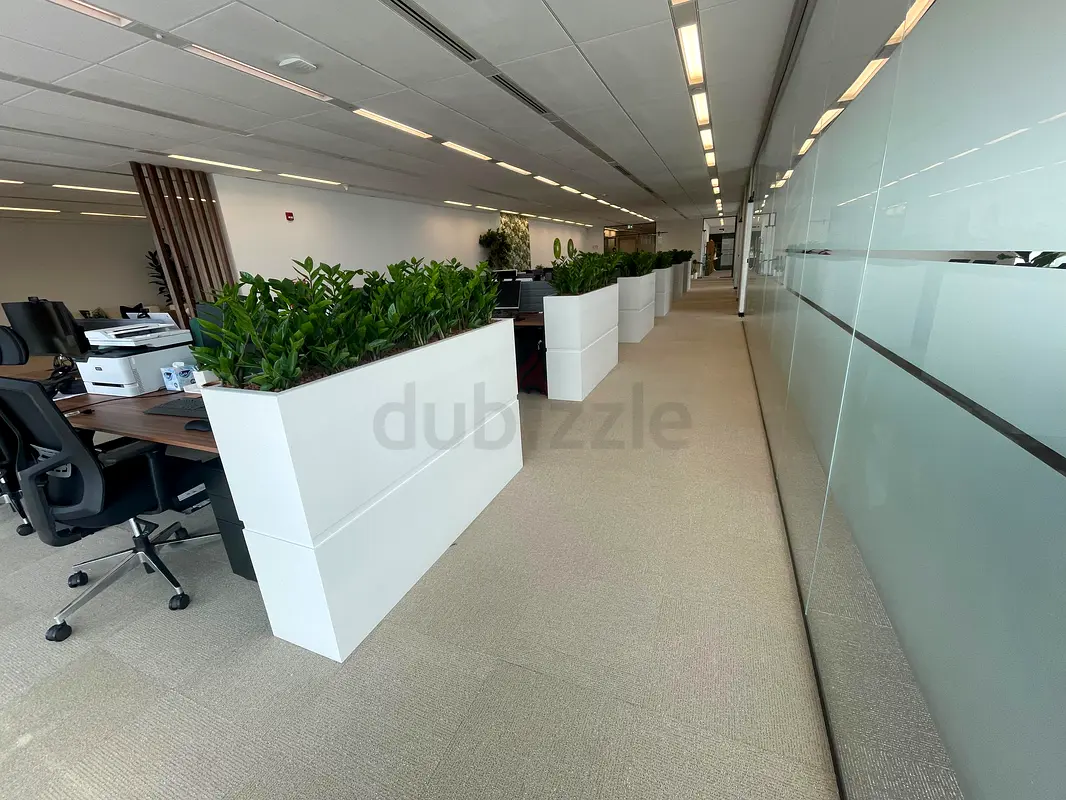 DPV_View_Image_9