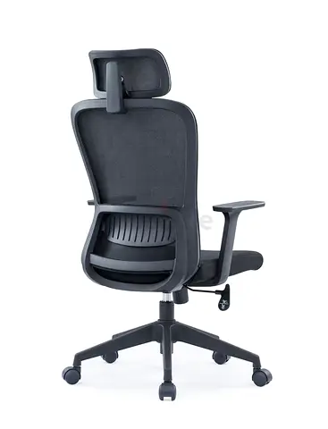 Ergonomic Mesh Chair