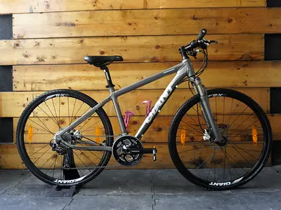 Giant Roam XR 2 Hybrid Bike
