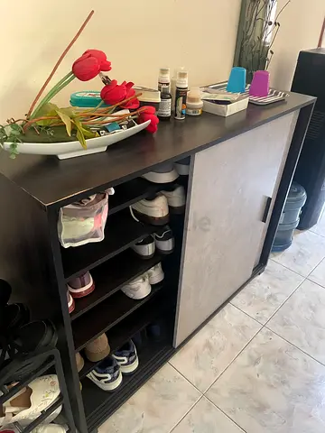 Wooden Shoe Cabinet with Sliding Door - Dark Finish