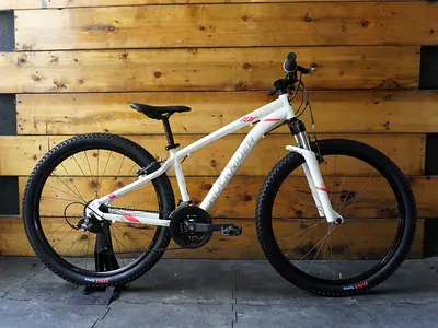 Rockrider ST-100 Mountain Bike