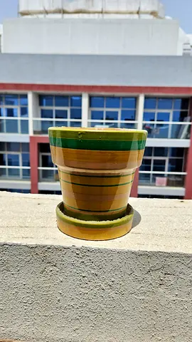 Small decorative ceramic plant pot with saucer