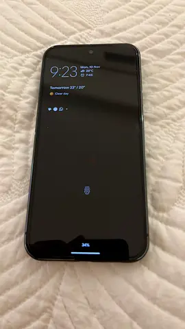 Google pixel 10 pro