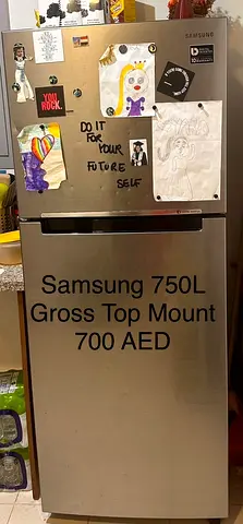 Samsung fridge 750L