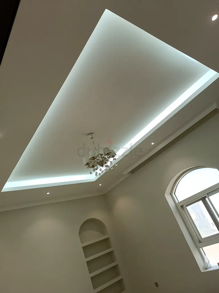 DPV_View_Image_2